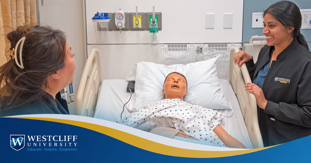 College of Nursing, BSN. The Career Path of a Nurse: From BSN to Advanced Practice